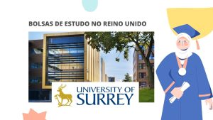 Read more about the article Bolsas de Estudo da Universidade de Surrey Ice no Reino Unido Para Estudantes Internacionais