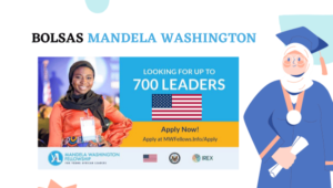 Read more about the article Bolsas de Estudo Mandela Washington