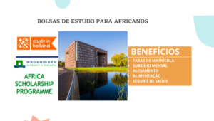 Read more about the article Programa de Bolsas de Estudo para África: Estude na Holanda com Tudo Pago – Wageningen University