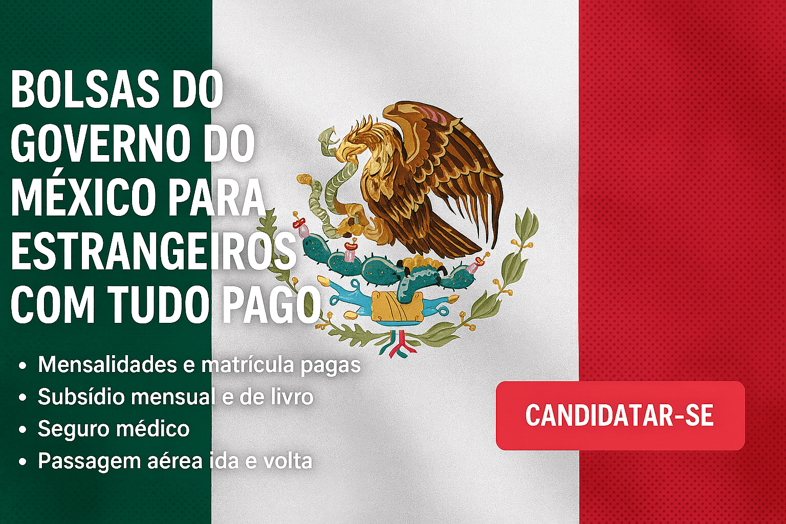 Bolsas do Governo do México